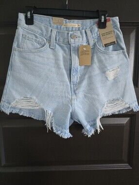 NWT Levi's High-Rise Light Blue Distressed Denim Mom Shorts - Size 28